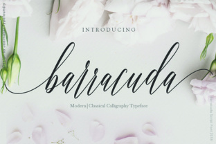 Barracuda Script: An Elegant Handwritten Typeface for Modern Designs