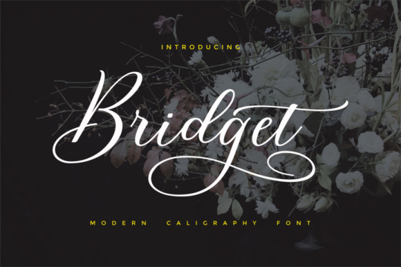 Bridget Script: A Modern Font for Personal and Professional Design