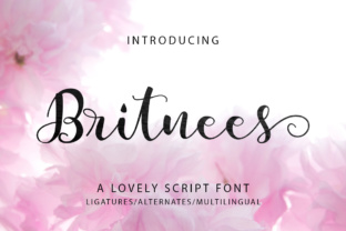 Britnees Script: A Fresh Take on Feminine Script Fonts
