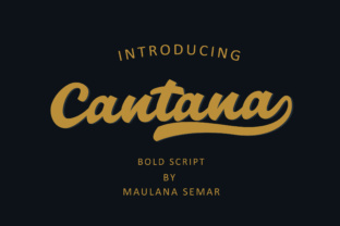 Cantana Script: A Bold Approach to Modern Branding