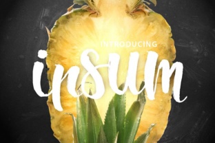 Ipsum Script: The Modern Brush Font for Vibrant Designs
