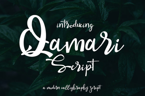 Qamari Script: Elevate Your Designs with Elegant Handwritten Style