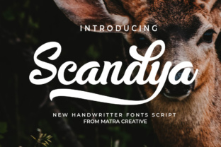 Scandya Script: Bringing Authentic Handwriting to Your Designs